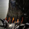 Drake Waterfowl Heavy Load Game Tote | Hunting Durable Waterfowl Game Carrier with Waist Strap, 12 Game Straps w/Slip Rings(Mossy Oak Bottomland)