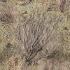 Hunter Mossy Oak Gun Camo Kit – Gun Skin, Scope Skin, Primer Stick(Brush (Rifle))