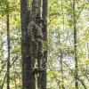 Mossy Oak Men’s Hunting Pants Camo Cotton Mill Flex(Break-up Country)