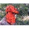 QuikCamo Lightweight 3D Leafy Camo Face Mask & Hat for Hunting, OSFM Adjustable Camouflage Hat, Mossy Oak & Realtree(Realtree Ap Leafy Blaze Orange)