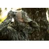 Mossy Oak Camo Hunting Face Mask, Hunting Neck Gaiter(Country Roots)