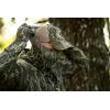 Mossy Oak Camo Hunting Face Mask, Hunting Neck Gaiter(Greenleaf)