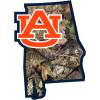 Siskiyou Sports NCAA unisex State Decal w/Mossy Oak Camo(Green)