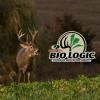 BioLogic Hot Spot No-Till Deer Food Plot Seed, Easy to Plant Wheat, Deer Radish, Rye and Rapeseed Blend, 5 lb bag Plants 1/4 Acre