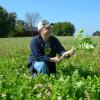BioLogic Deer Radish Food Plot Seed, 2lb (Plants 1/4 Acre)