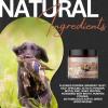 Complete Skin & Coat Natural Protein-Enriched Powdered Supplement Food Topper | 90 Servings