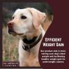 Dog Weight Gainer – High Calorie Dog Food Supplement & Protein Powder for Rapid Weight Gain, Mass, and Recovery – Appetite Stimulant – 60 Servings(230 Serving (5 lbs))