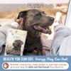 Dog Weight Gainer – High Calorie Dog Food Supplement & Protein Powder for Rapid Weight Gain, Mass, and Recovery – Appetite Stimulant – 60 Servings(60 Servings (1.5 lbs))