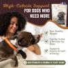 Dog Weight Gainer – High Calorie Dog Food Supplement & Protein Powder for Rapid Weight Gain, Mass, and Recovery – Appetite Stimulant – 60 Servings(60 Servings (1.5 lbs))
