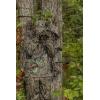 Mossy Oak Performance Fleece Men’s Camo Hunting Hoodie(Bottomland)