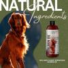 Wild Caught Salmon Oil | Optimal Source Omega 3 Fish Oil Liquid Food Supplement for Dogs Skin, Coat, Joint, and Immune Health, 16 fl oz