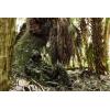 Mossy Oak Men’s Leafy Quarter Snap Camo Hunting Shirt(Original Bottomland)