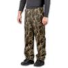 Bottomland