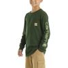 Carhartt Boys Long-Sleeve Logo Sleeve Pocket T-Shirt(Mountain View)