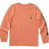 Carhartt Boys Long-Sleeve Logo Sleeve Pocket T-Shirt(Exotic Orange Heather)