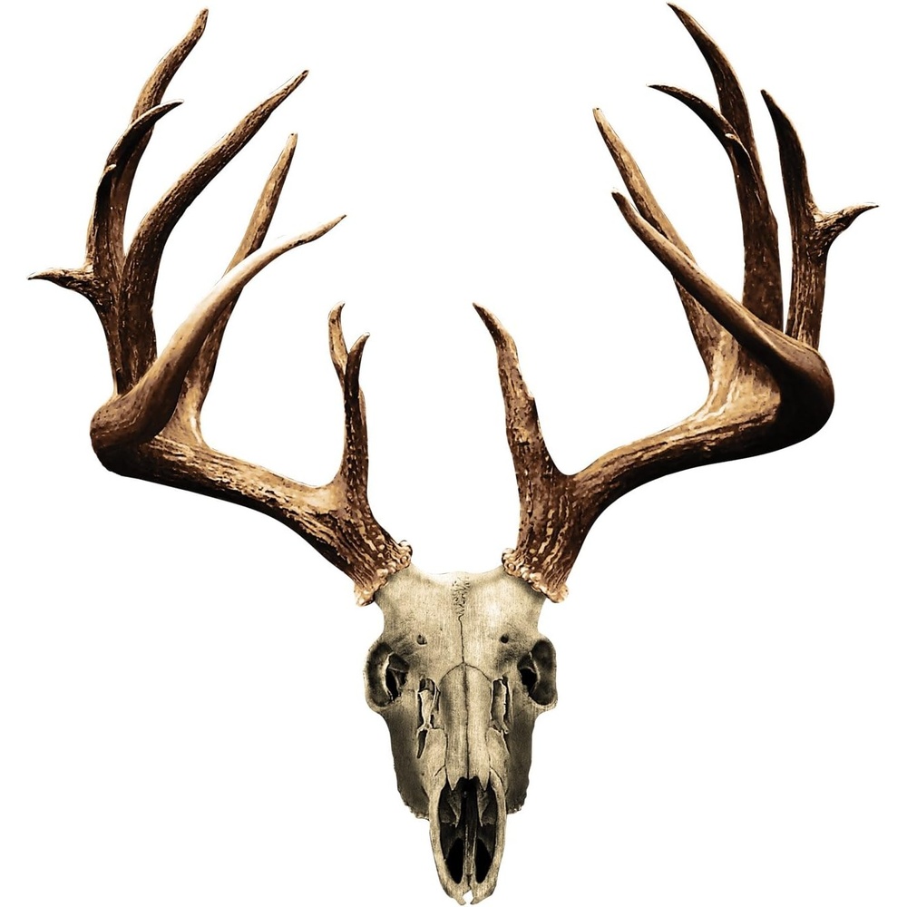 image:imageMossy Oak Graphics Animal Decal Easy to Install Nofade Cast Vinyl Whitetail NT 13021SNT 8 x 6