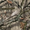 Hunter Mossy Oak Gun Camo Kit – Gun Skin, Scope Skin, Primer Stick(Camouflage (Treestand pattern))