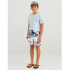 HUK Boys Pursuit Volley Pattern Short, Quick-Dry Shorts for Kids(Windsurfer)